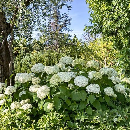 B&B Villa Adriano Десенцано дел Гарда Екстериор снимка