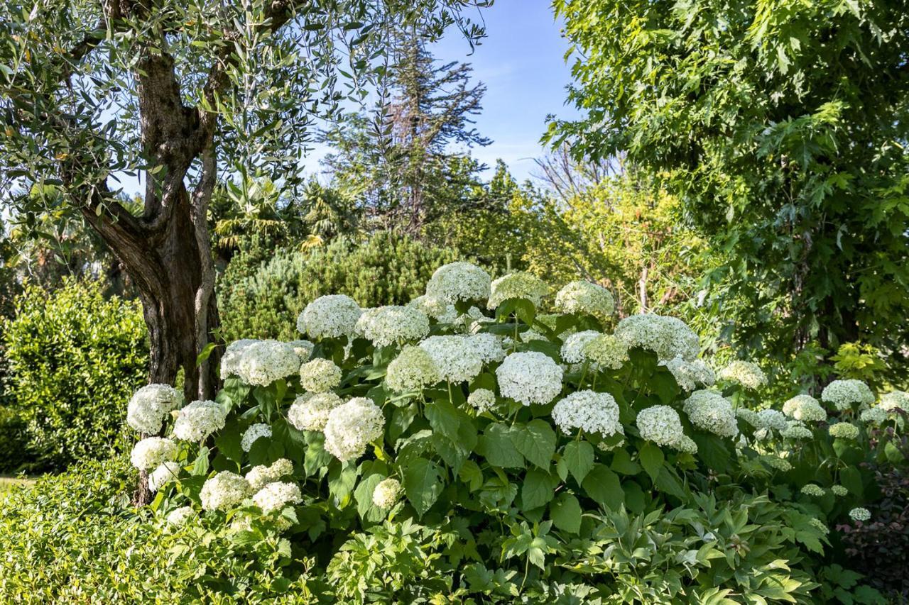 B&B Villa Adriano Десенцано дел Гарда Екстериор снимка